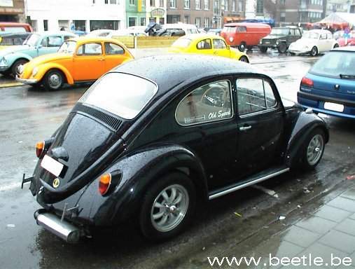 ninove05.jpg