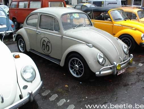 ninove08.jpg