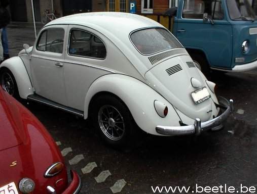 ninove11.jpg