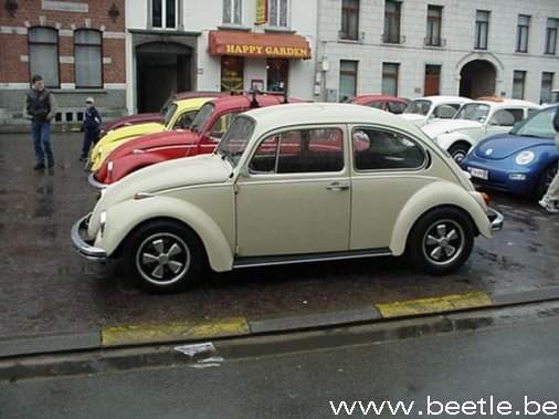 ninove11K.jpg
