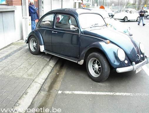 ninove12.jpg