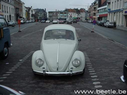 ninove24K.jpg