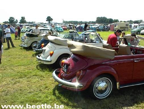 Budel_site_047.JPG