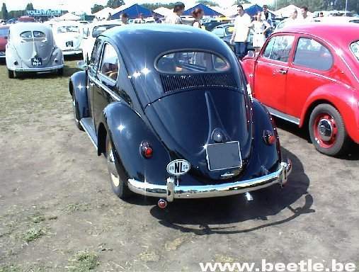 Budel_site_053.JPG
