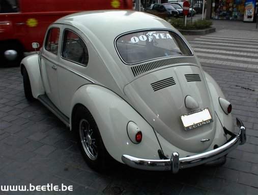 Ninove_site_02.JPG