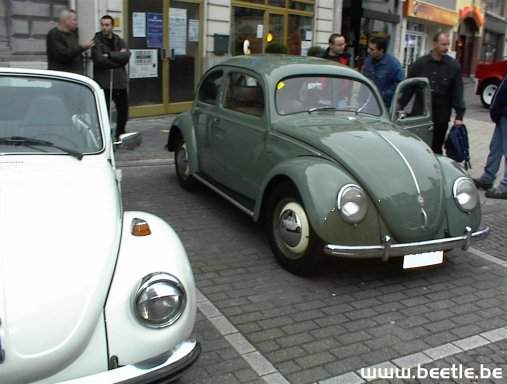 Ninove_site_04.JPG