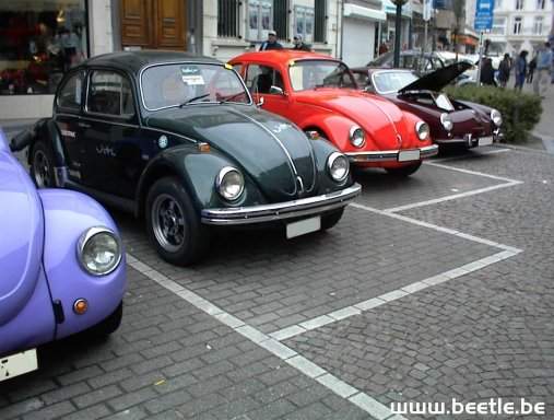Ninove_site_08.JPG