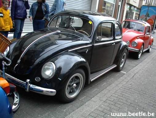 Ninove_site_09.JPG