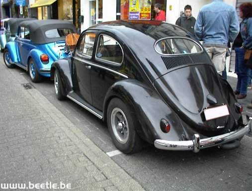 Ninove_site_11.JPG