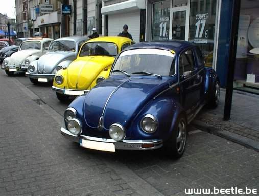 Ninove_site_14.JPG