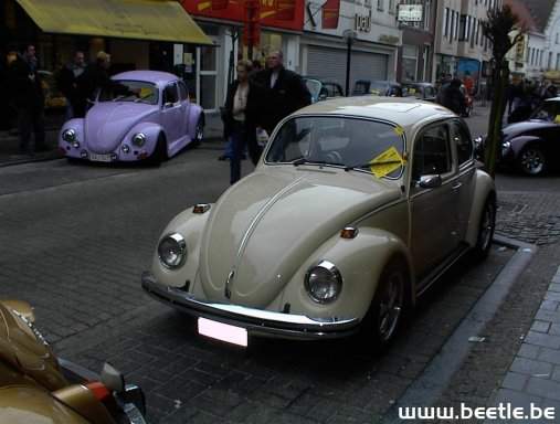 Ninove_site_15.JPG
