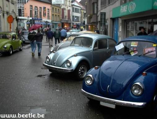 Ninove_site_36.JPG