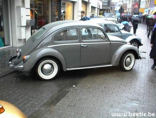 Ninove_site_37.JPG