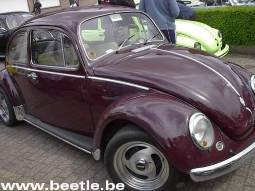 leeuw2002_09.jpg