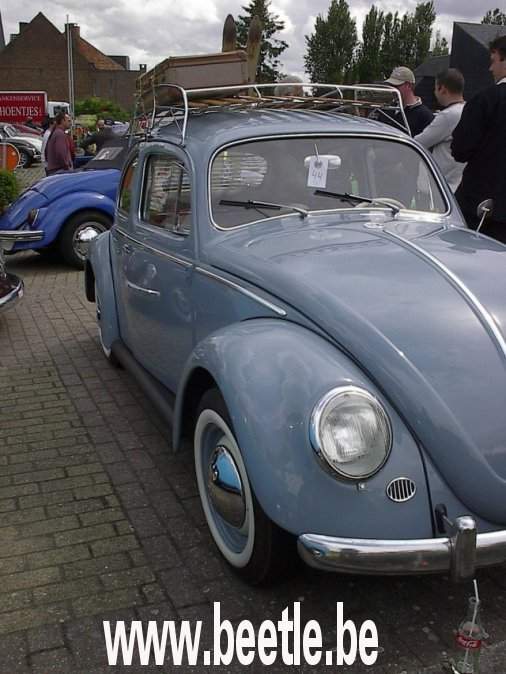 leeuw2002_11.jpg