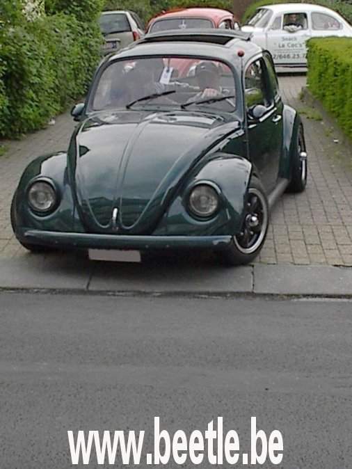 leeuw2002_12.jpg
