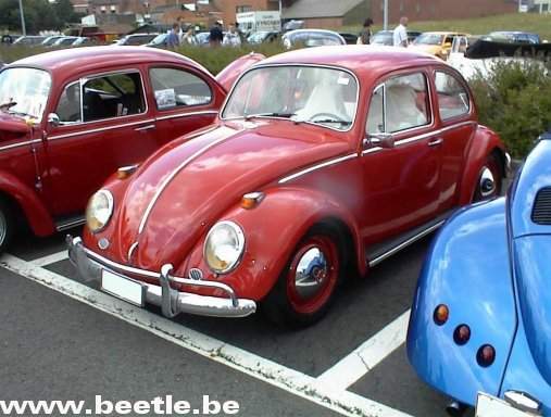 Waregem_site_11.JPG