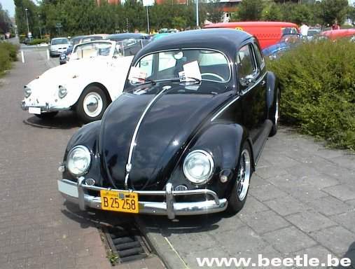 Waregem_site_20.JPG
