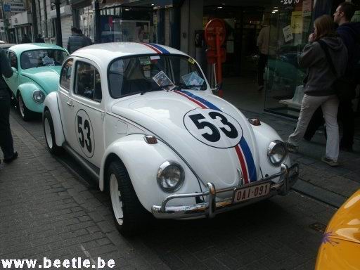 Ninove_site_03.JPG