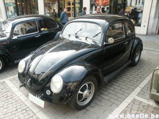 Ninove_site_10.JPG