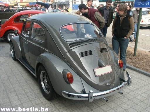 Ninove_site_20.JPG