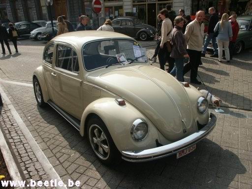 Ninove_site_28.JPG