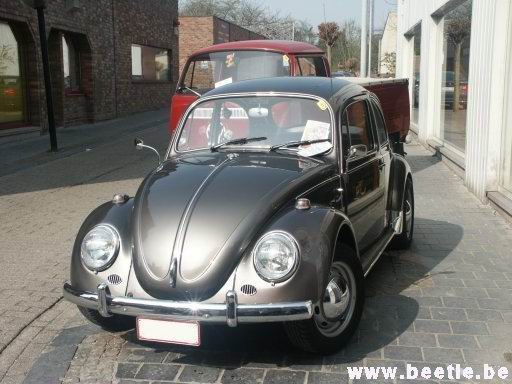 Ninove_site_37.JPG