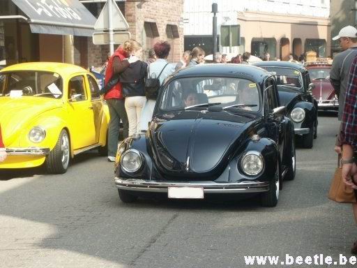 Ninove_site_43.JPG