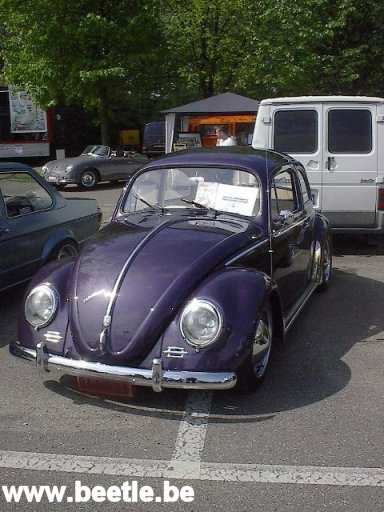 Zemst04_10.jpg