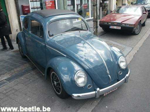 Ninove2004_site_11.JPG
